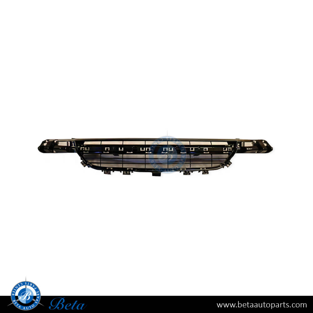 Front Bumper Lower Grille without Acc Sport and Urban for BMW 1 Series F20 / F21 LCI 2015-2019 models, Part Number 51117371737 Front Bumper Lower Grille without Acc Sport and Urban for BMW 1 Series F20 / F21 LCI 2015-2019 models, Part Number 51117371737